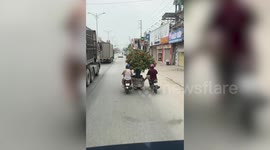 Bizarre moment three men drive bonsai tree in plant pot along road