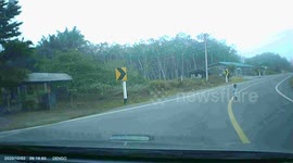 Toddler nearly hit by car after wandering into the road