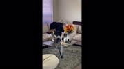 temp