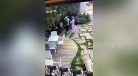 Chinese tourist fined after deliberately kicking over cactus at scenic area