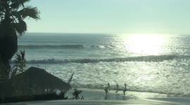 Surfs up! Barrel at WIndansea San Diego