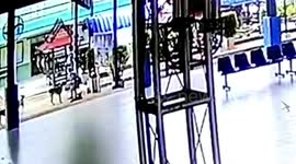 Rabid stray dogs maul six schoolchildren playing on lunch break in Thailand