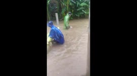 The villagers use the banana tree trunks to make the rafts move out of the flooded water