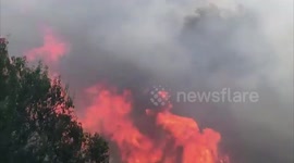 Lebanon: Several Wildfires Break Out In Mount Lebanon Area