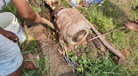 Indian Rat snake that got struck under the Motor pump was rescued in Southern India