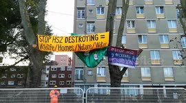 Tree protestor at Hs2 demo camden