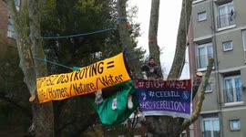 Hs2 tree protester