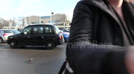 Popular social media version. 