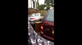 Bird attacks his own reflection