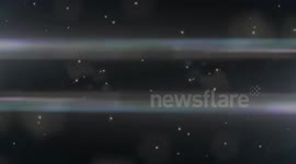 The Raw Garlic Challenge GONE WRONG!