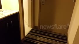 Hotel shower poppers.