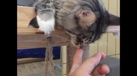 When Pluto sleep always like die