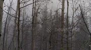 temp
