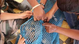 Stray dog with flower-pot stuck on head leads rescuers on four-day pursuit in India