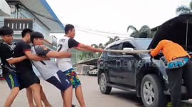 Snake handlers have tug-of-war with python found in woman's car engine in Thailand