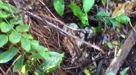 Canada: Wind Storm Rolls Into Vancouver, Causing Significant Damages