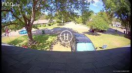 Ring camera catching kids taking political signs