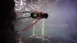California designers build squid robot that swims underwater