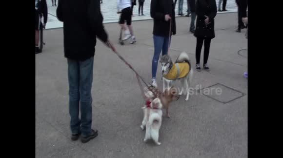 blackpool lockdown protest 2