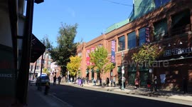 Voting At Fenway Park