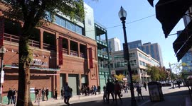 Fenway Park Early Voting