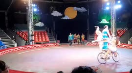 Six women riding on a bicycle