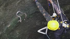 Indian official lowered into 150-foot-deep well to rescue aggressive cobra