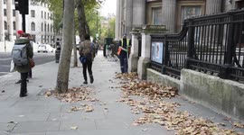 Autumn Leaves Swept Away