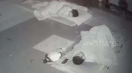 Chilling moment escaped snake slithers into sleeping paramedic's bed in Thailand