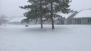 temp