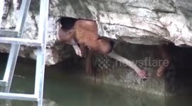 Firefighters rescue dogs trapped in artificial mountain in Chinese residential community