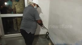 Officers flee after cobra found inside police station in northern India