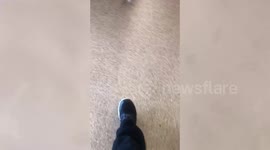 Disturbing video shows a man angrily refusing to wear a mask because: “Covid is a bacteria” [CENSORED VER.]