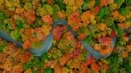 Drone footage showcases beautiful autumnal foliage in Vermont forest