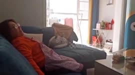 'I'm not going to run': Woman calmly sits on sofa as earthquake warning counts down on TV in China