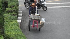 Street food sellers become unlikely heroes of anti-government protests in Thailand