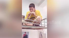Chinese students makes 2-metre-long straw so he can drink without getting out of bed