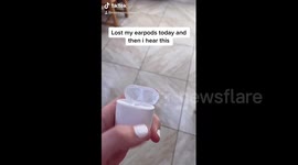 Irish woman pranks TikTok followers into believing her dog ate her AirPod