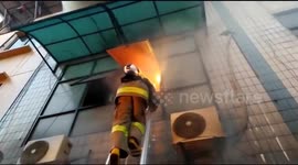 Fire Fighting Team Rescuing animals during a fire in Central Jakarta. Indonesia