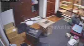 Hungry pet cat stares at CCTV camera while waiting for food