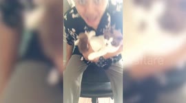 Thai man falls off chair while making video selfie with pet cat