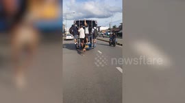 Stray dog chases bus to try and catch a ride