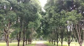 Beautiful and green old house.