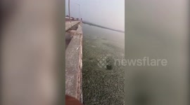 Peculiar foam formations on river surface startle locals in southern India