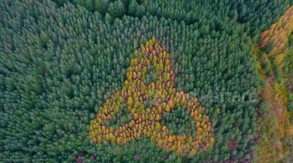 Beautiful autumn colours of the Celtic Trinity Knot in Sligo, Ireland