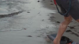 Up, up, and oh no! Kite surfer lands on the roof of a beach hut in Brazil