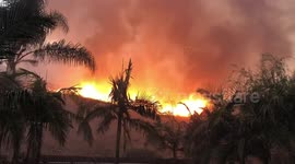 Blue Ridge Fire in Chino Hills: Chinook Tanker Drops Water