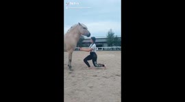 My horse Prince - knight of my heart