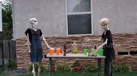 California neighbours sum up 2020 with wacky Halloween themes