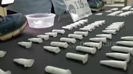 Airport staff in Philippines find live TARANTULAS being smuggled in pair of trainers